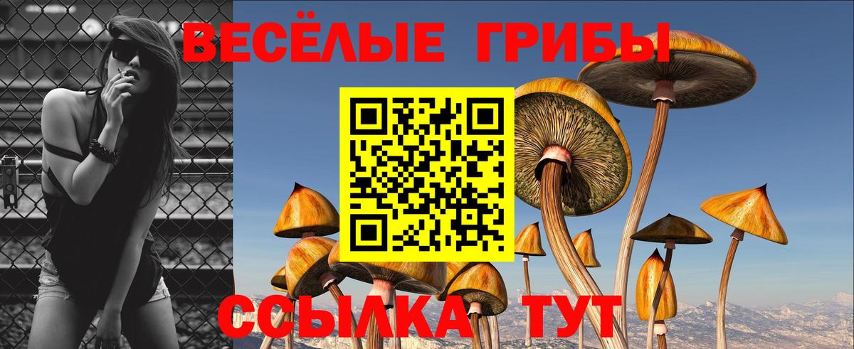Шали  Галлюциногенные грибы Cubensis  Вход с VPN 